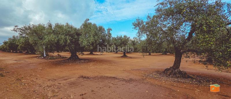 Foto c5a28923-1138-4af4-9705-e88ca12c0b99. Bauernhof mit pool in Godall