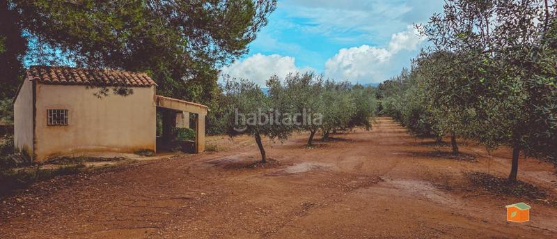 Foto e168f742-cda1-42d3-802b-6a56d982c05e. Bauernhof mit pool in Godall