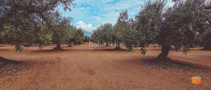 Foto f67fa7ce-bcf9-4a76-a593-9e422298e0cd. Bauernhof mit pool in Godall