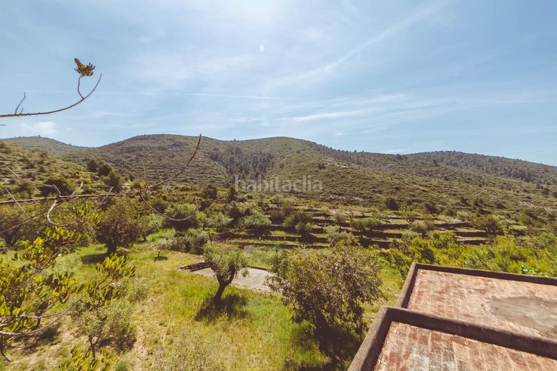 Foto 15621ef7-69d4-4462-a3db-7ade8ab67c15. Xalet amb aparcament a Ulldecona