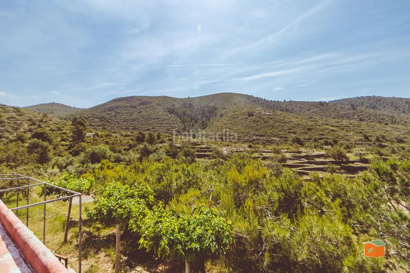 Foto 45f9e755-89e0-4271-8bb7-99ea3b78eca6. Xalet amb aparcament a Ulldecona