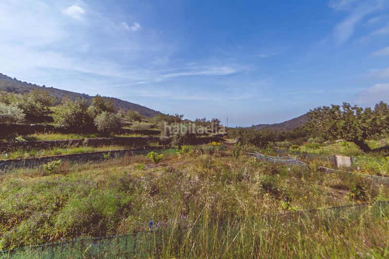Foto 742b8c83-fb8e-45d0-ab14-a5bd2c093e36. Xalet amb aparcament a Ulldecona