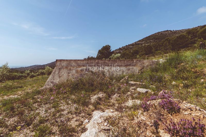 Foto b20bd8d6-4fdb-41d7-91af-92a19f58bb1f. Xalet amb aparcament a Ulldecona