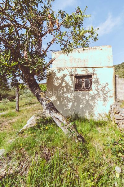 Foto be8d0b32-a6ca-4dd5-9ee2-6a9089488a7c. Xalet amb aparcament a Ulldecona