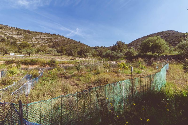 Foto ef4539dd-16ca-4a22-9b62-9f87cefc5315. Xalet amb aparcament a Ulldecona