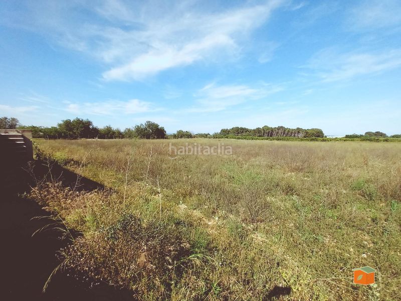 Foto 059d9618-397c-44f7-a055-f31236f1a4b4. Finca rústica a Santa Bàrbara