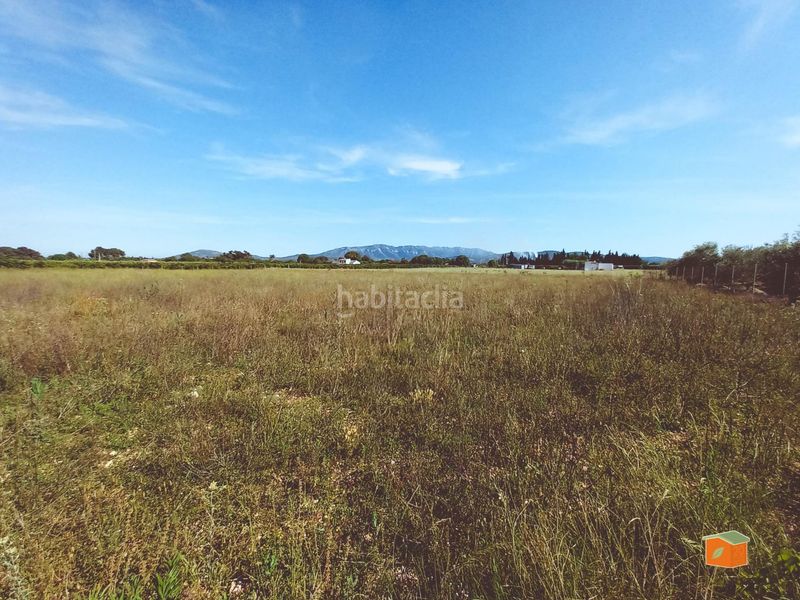 Foto 0d74de88-e7d2-4a2f-ac54-a5373e7b2203. Finca rústica a Santa Bàrbara