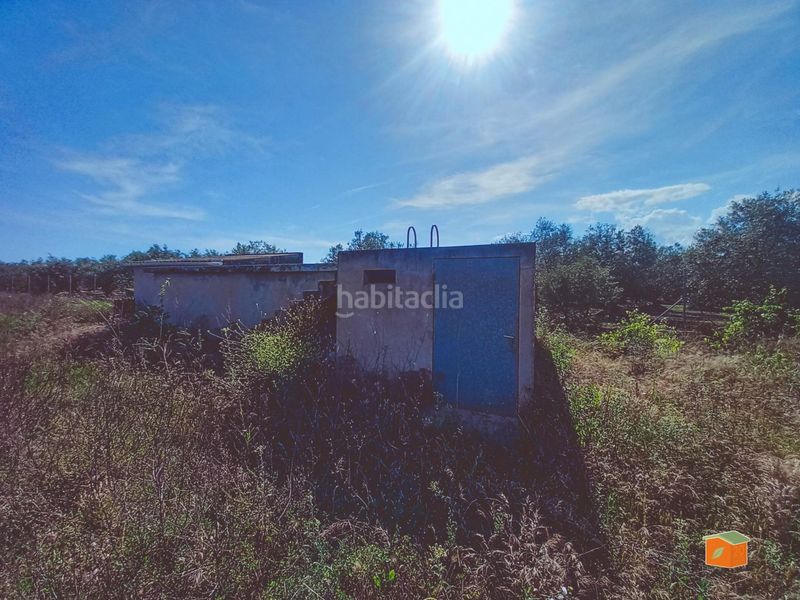 Foto 8da7f424-c8ee-4371-8b0e-969a0e9be46e. Finca rústica a Santa Bàrbara