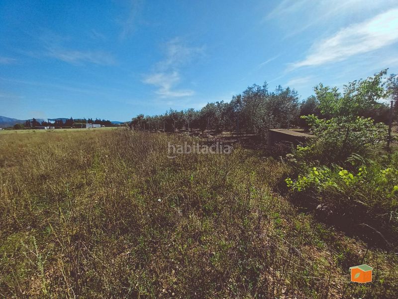 Foto f1372edc-2607-4f4b-92fb-3e400ddbd0fc. Finca rústica a Santa Bàrbara