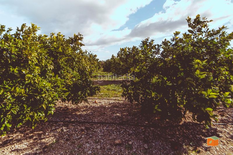 Foto e788b33a-5937-4f02-94a2-a299d1efebe2. Finca rústica a Santa Bàrbara