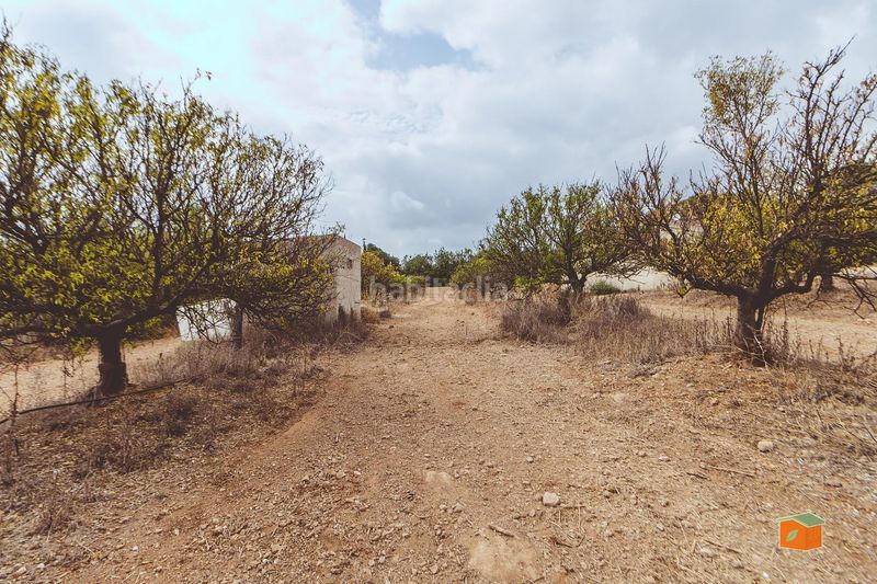 Foto eb773da0-6b91-4b80-bf7d-106f00f659f4. Masia a Santa Bàrbara