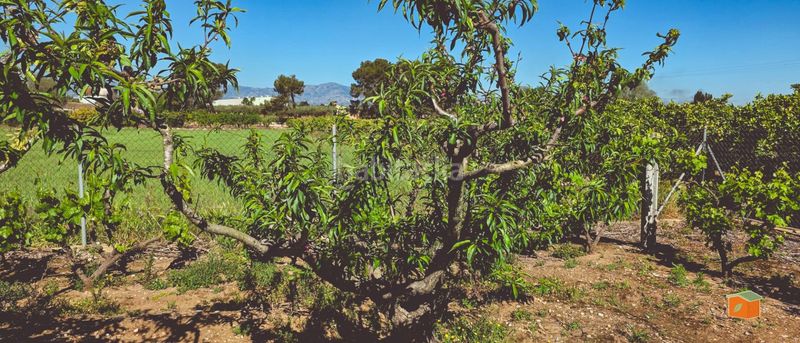 Foto 5ca37595-9cec-4a29-b3f6-3b818b5a6ee6. Finca rústica a Masdenverge