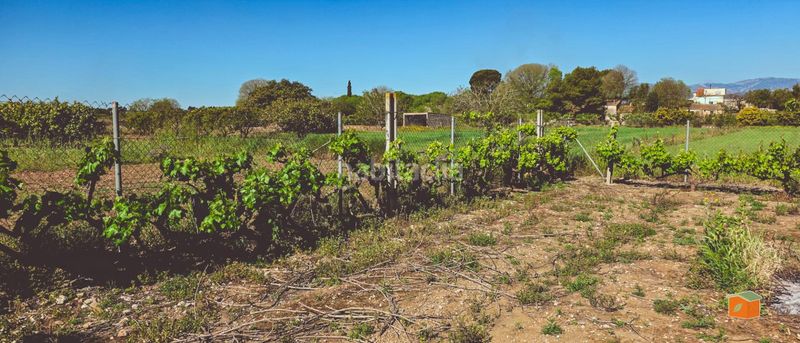 Foto c7eb63e6-a7cc-4343-ad08-f20cdf601d1b. Finca rústica a Masdenverge