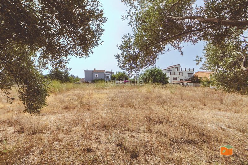 Foto afe028fb-84f8-4bc4-85f5-79190545907c. Terreny residencial a Boverals-Saldonar Vinaròs