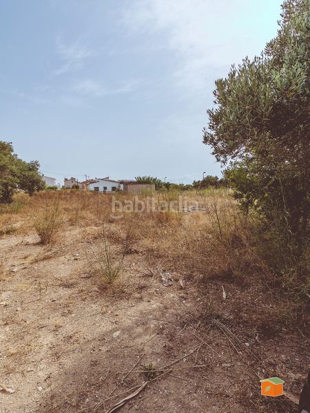 Foto dc7cb85d-3c82-4bc8-86b9-29d22809c52a. Terreny residencial a Boverals-Saldonar Vinaròs