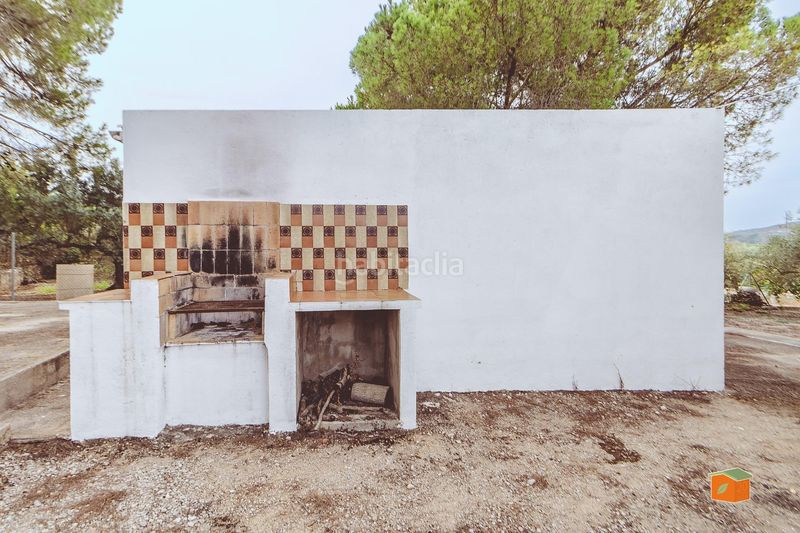 Foto 02ca7ce6-5f8b-46ca-8c11-60f944dd248c. Masia a Freginals