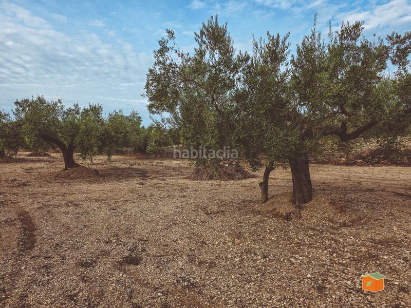 Foto 823eb833-3195-4a66-b1c5-f4e62b7f312e. Mas avec parking dans Ulldecona
