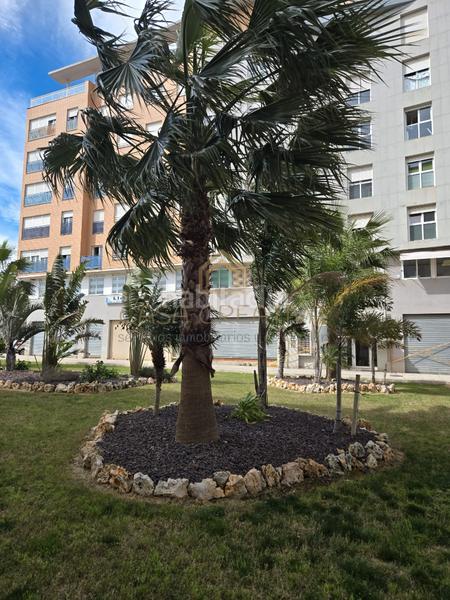 Foto 040daf66-0083-447c-a261-578a131cff51. Piso  en venta en paseo de gregori maians en Oliva pueblo Oliva