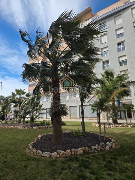 Foto 1c0320ac-24e2-445e-9ed7-c4d7353e7f70. Piso  en venta en paseo de gregori maians en Oliva pueblo Oliva