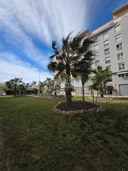 Foto 73efc724-3f0b-42ea-830d-9ff06516b217. Piso  en venta en paseo de gregori maians en Oliva pueblo Oliva