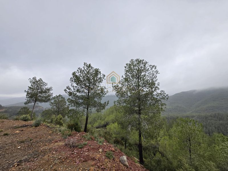 Foto 418c3288-1c0c-437a-ac07-45c9211d37e0. Xalet a Torralba del Pinar