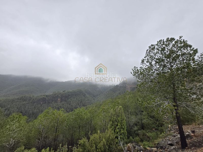 Foto 4d01db87-5802-44bf-a236-fc07ae843823. Xalet a Torralba del Pinar