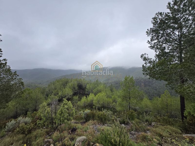Foto d0bd7609-deed-4825-98c1-04a76eef2308. Xalet a Torralba del Pinar
