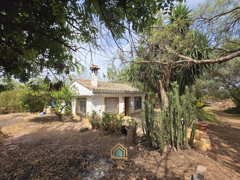 Foto 4902fd47-72b1-4019-947e-9798a0574cc9. Casa a Benifaió