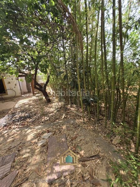 Foto a8d38934-e8e1-4f1d-b3f6-a20a6cda483b. Casa a Benifaió