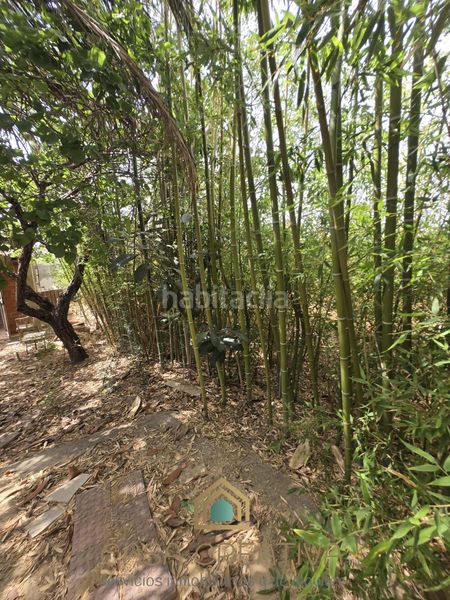 Foto e1feab90-e75a-4ff3-83ce-9242657be78e. Casa a Benifaió
