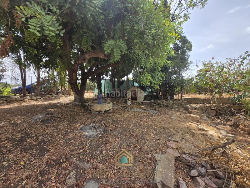 Foto f1297311-7d74-4433-8bd1-0e5412b7ac0c. Casa a Benifaió