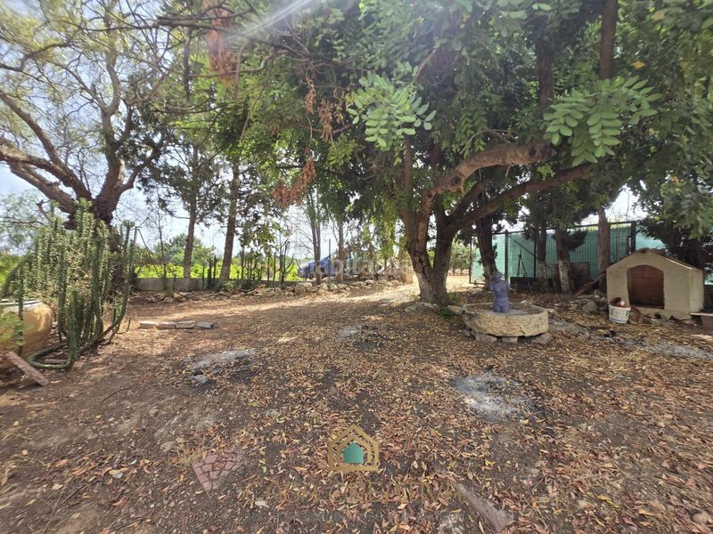 Foto fa99a0ac-7f94-45d0-84e7-bdf4517e178e. Casa a Benifaió