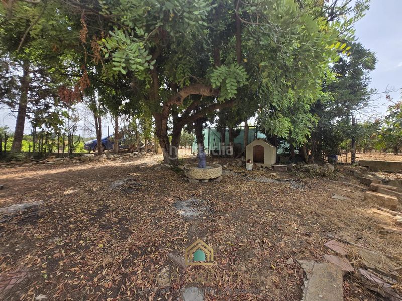 Foto fba2a6d8-2262-4788-9b48-7b74fb56039b. Casa a Benifaió