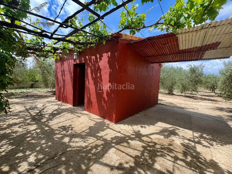 Foto d7a94384-282d-4b01-a090-32a18f1a358b. Xalet amb aparcament a Las Bayas Elche / Elx