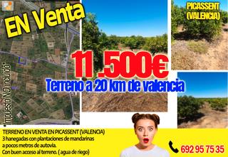Finca rústica  Carrer picassent. Venta terreno en picassent