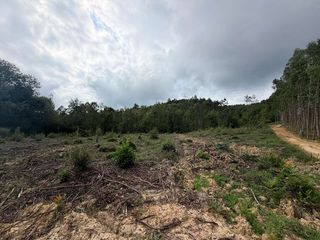 Wohngrundstück in Gamiz - Fika. En venta 12.548 m2 de terreno rustico en larrabetzu