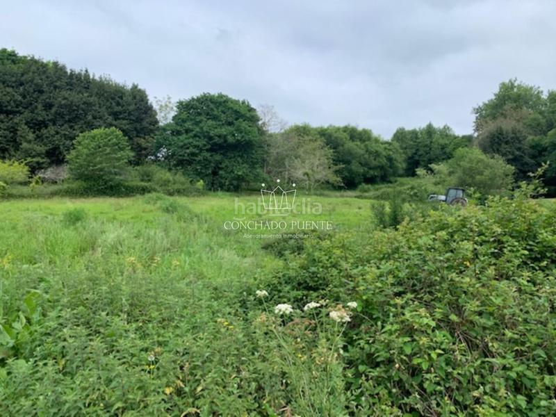 Foto 942a7f98-fb73-49b7-8b0a-c891225acd53. Terreno residenziale in Bergondo