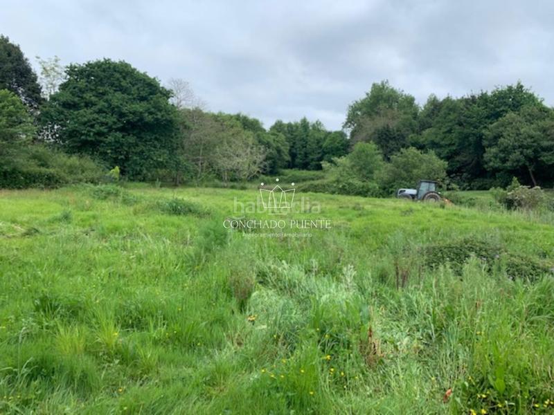 Foto d605df4e-d872-409a-bc97-417ff853e594. Terreno residenziale in Bergondo