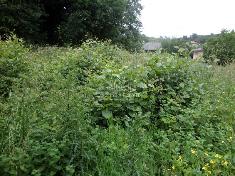 Foto 9ab28b61-2180-42e3-8991-04cbae11dcab. Terreno residenziale in Nós Oleiros