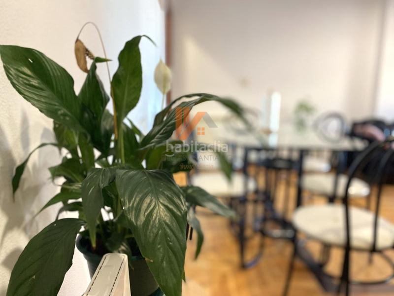 Foto a438aa92-2929-4ce1-a473-251f66cc4840. Appartement dans rua estrada 28 dans Castiñeiriño - Cruceiro de Sar Santiago de Compostela