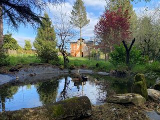 Casa  Lugar pousada. Se vende casa de piedra para rehabilitar con finca de 4000m2 seg