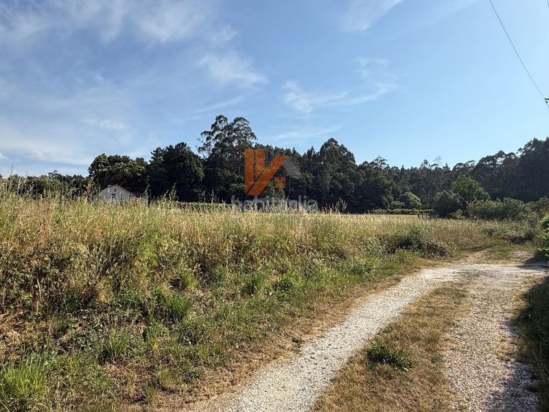 Foto 7eeb3d46-b8fe-4ed7-bf67-e8e13da8e149. Terreny residencial a Teo
