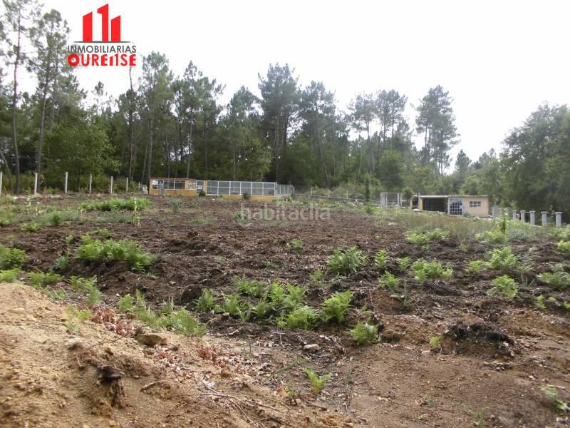 Foto fcd98c00-afc3-472c-bcd5-4d65408e8745. Masia a Bande