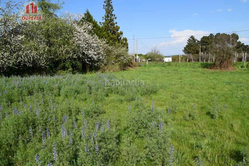 Foto 640d395b-551e-4e20-bda3-31ff09b4e344. Terreny residencial a Coles