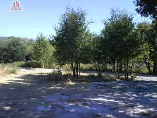 Terreny residencial a Nogueira de Ramuín. Se vende finca urbanizable en san miguel do campo