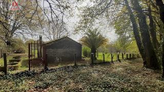 Masia a Coles. Finca rústica de 6.000 m2 con galpón y pozo en coles ourense