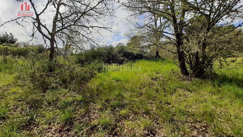 Foto c9b2afab-7fb1-4b71-bcd1-98f1e33fe3a4. Masia a Ventiun Ourense