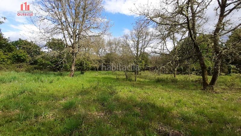 Foto e64ca657-e823-4569-8ab9-251b8ace9425. Masia a Ventiun Ourense