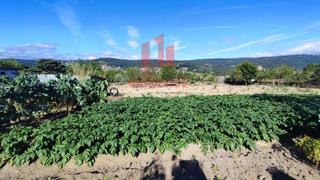 Masia a San Cibrao das Viñas. Finca de más de tres mil metros cuadrados en san cibrao das viña