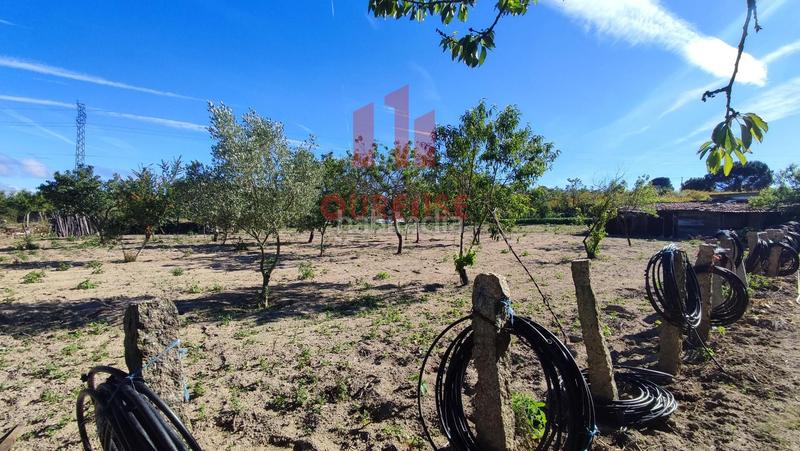 Foto 1373e533-89f2-4016-8471-05119b515529. Mas dans San Cibrao das Viñas